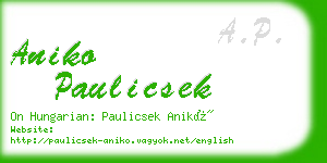 aniko paulicsek business card